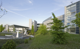 Ihr Ansprechpartner - 